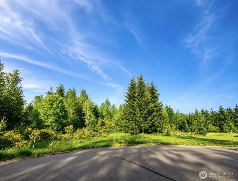 15312 Sunnyside Lane Se, Yelm, WA 98597 - #2