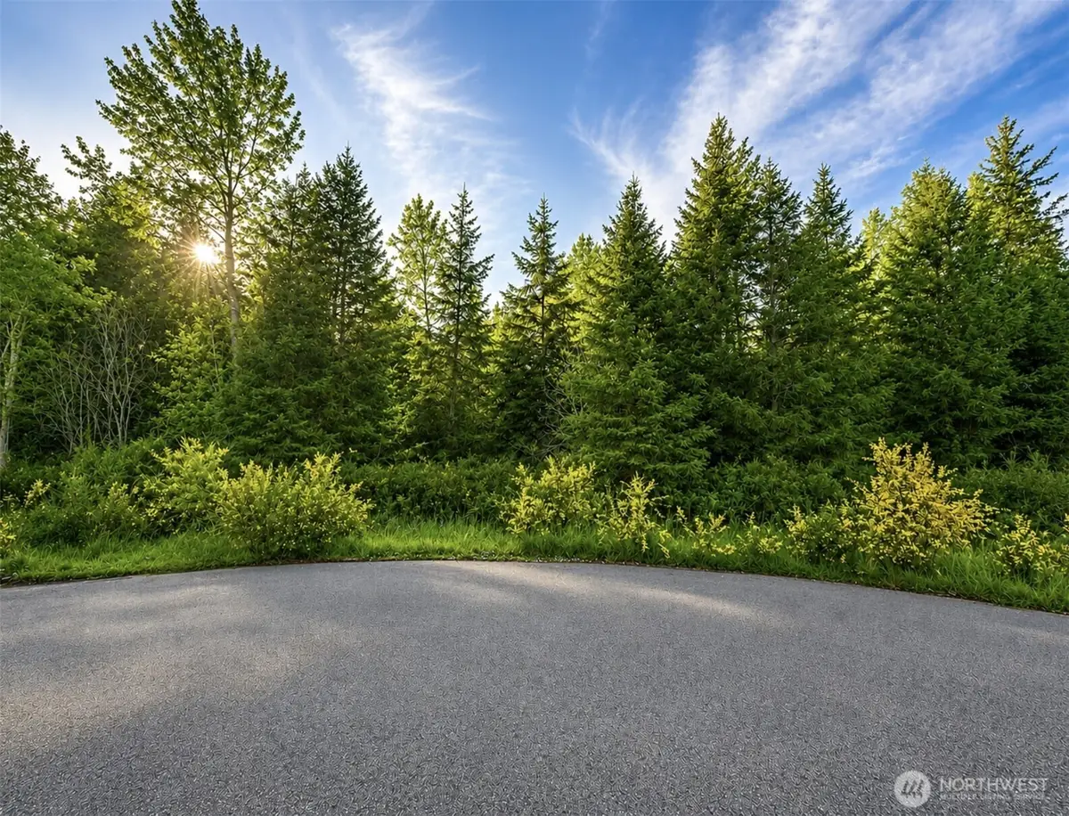 15331 Sunnyside Lane Se, Yelm, WA 98597 - #1