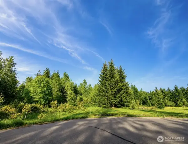 15313 Sunnyside Lane Se, Yelm, WA 98597
