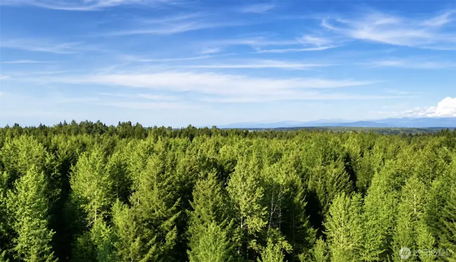 15313 Sunnyside Lane Se, Yelm, WA 98597 - #2