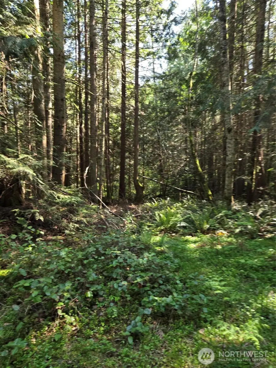 146 Humble Hill Road #2 & 3, Sequim, WA 98382 - #2