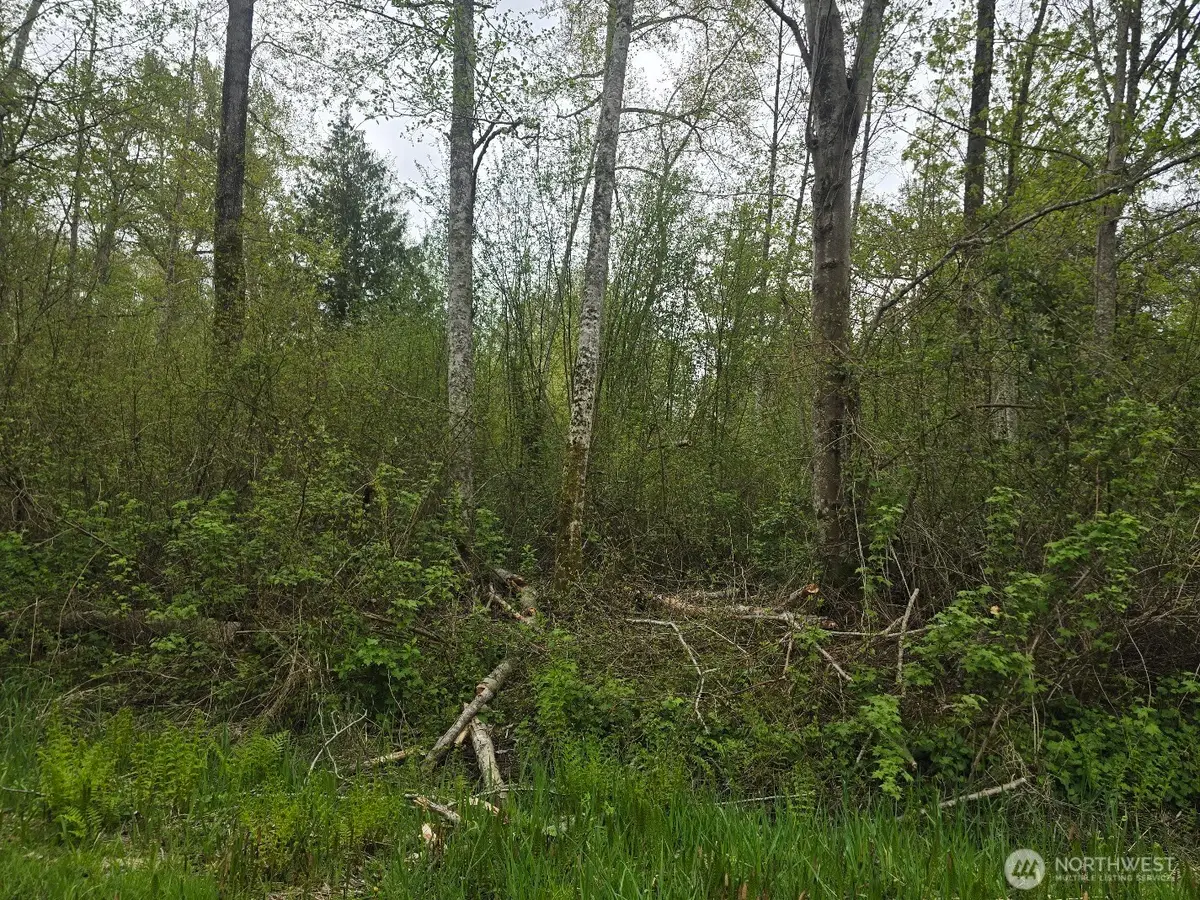 0 Shorewood Lane, Bellingham, WA 98226 - #1