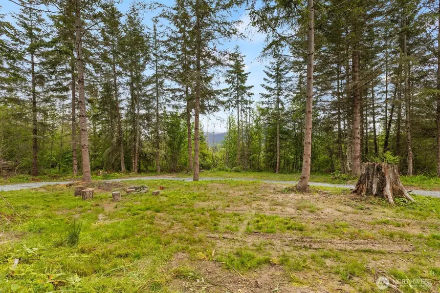 11014 Pilgrim Road E, Eatonville, WA 98328 - #3