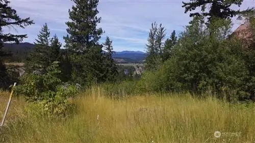 17 Twin Lakes Road #20, Cle Elum, WA 98922 - #1