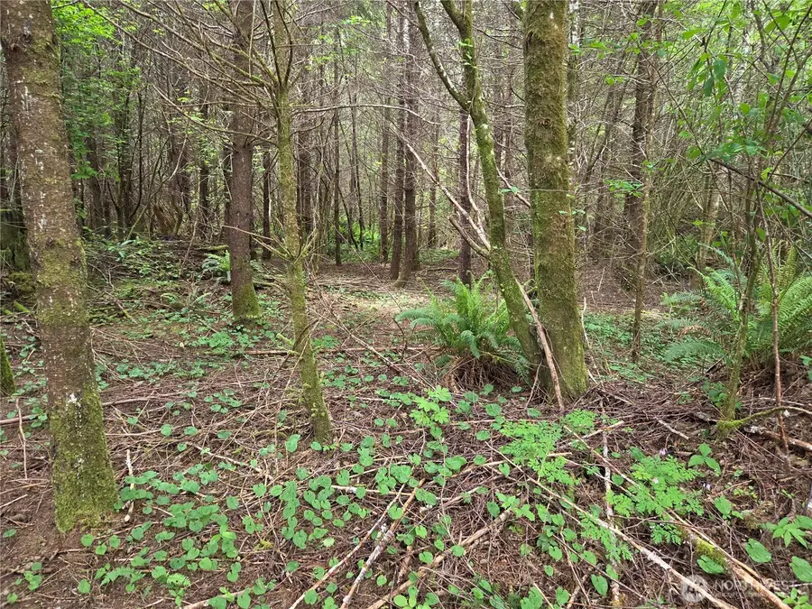 13 Beaver Hill Lane #7, Montesano, WA 98563 - #2