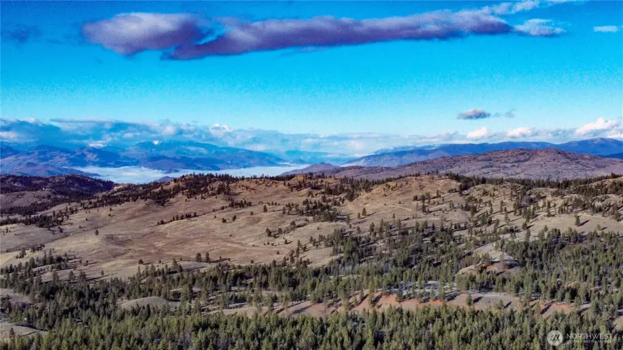 0 Red Feather Lot 16 #LOT 16, Tonasket, WA 98849 - #2