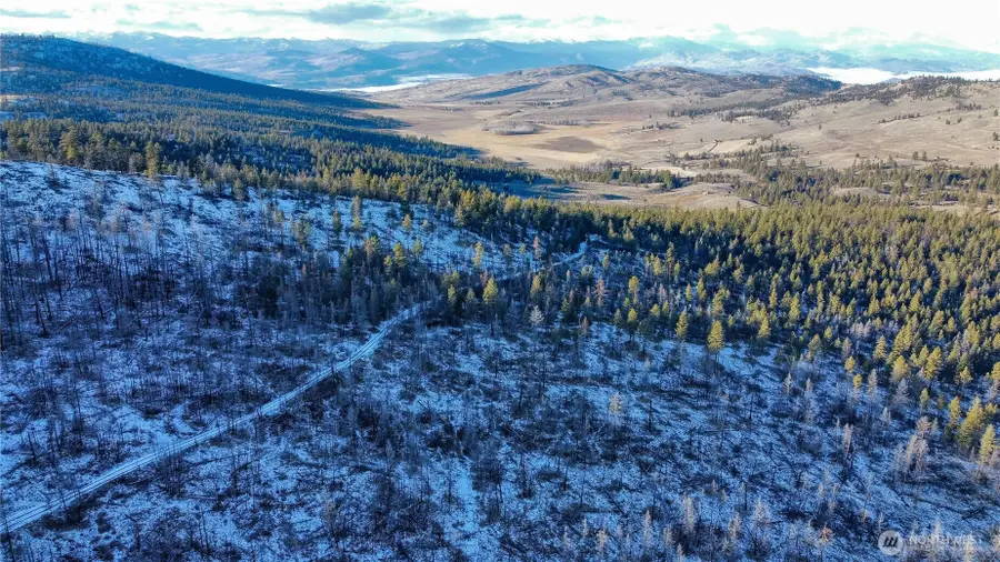 0 Red Feather Lot 16 #LOT 16, Tonasket, WA 98849 - #3