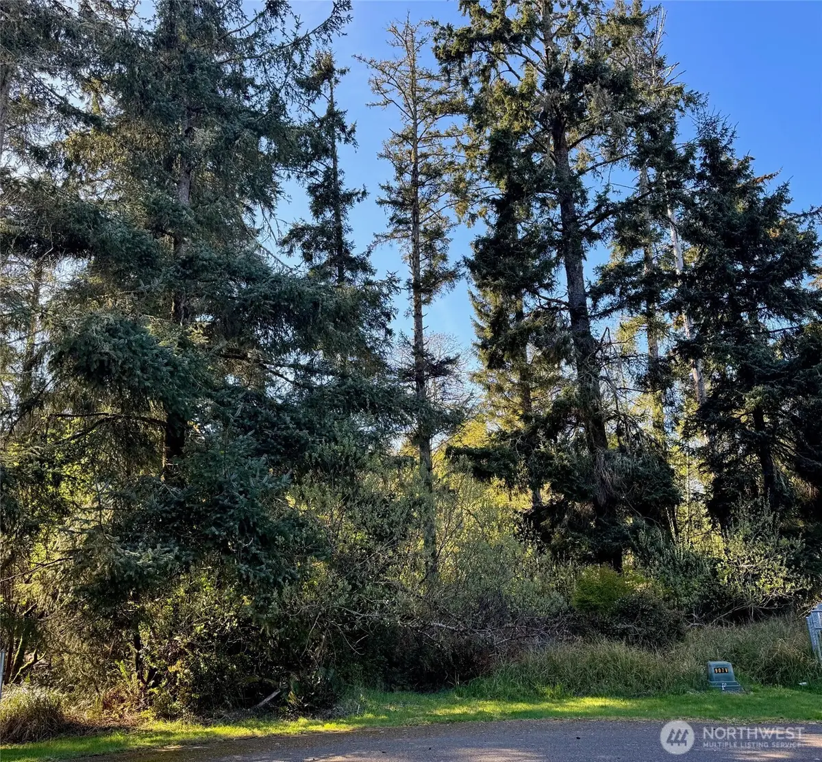 186 Murphy Court Se #35, Ocean Shores, WA 98569 - #1