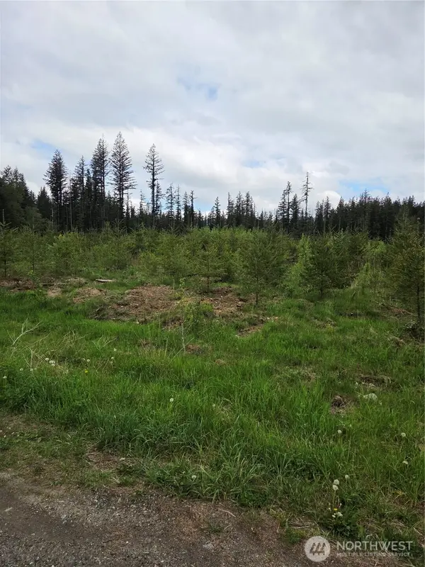 0 Windon Lane, Maple Falls, WA 98295