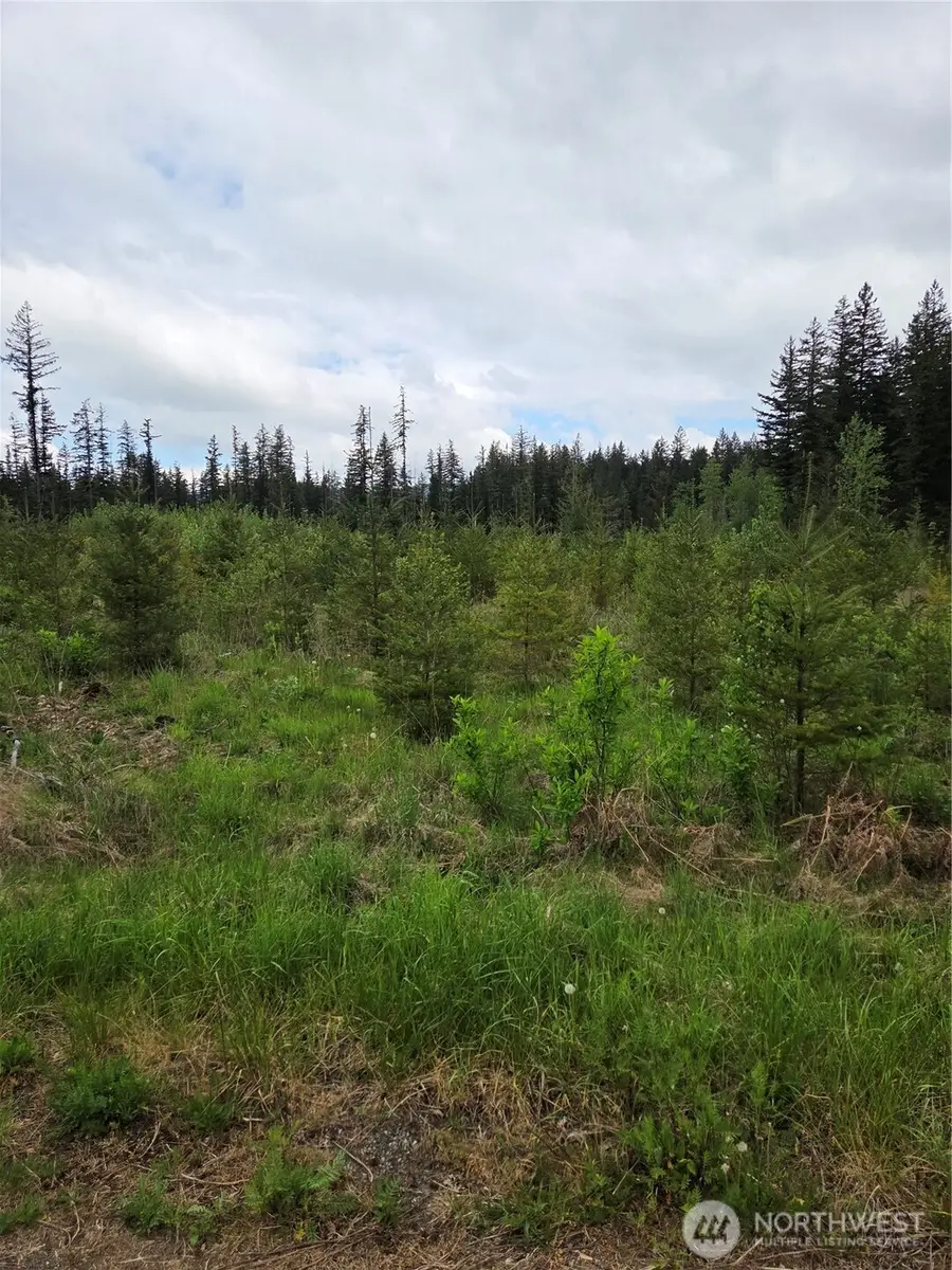 0 Windon Lane, Peaceful Valley, WA 98295 - #2