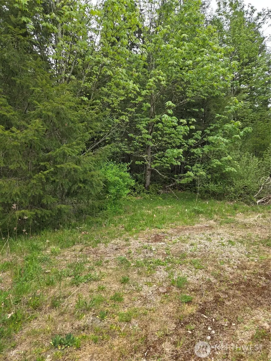 0 Wa-547 Road, Sumas, WA 98295 - #3