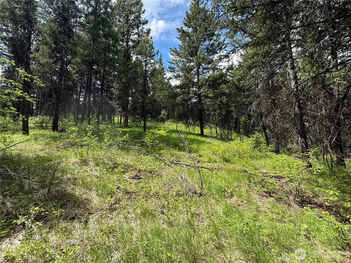 0 Knob Hill Road E #175, Republic, WA 99166 - #1