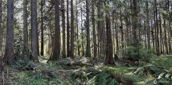 0 NW Lakeness #031, Poulsbo, WA 98370