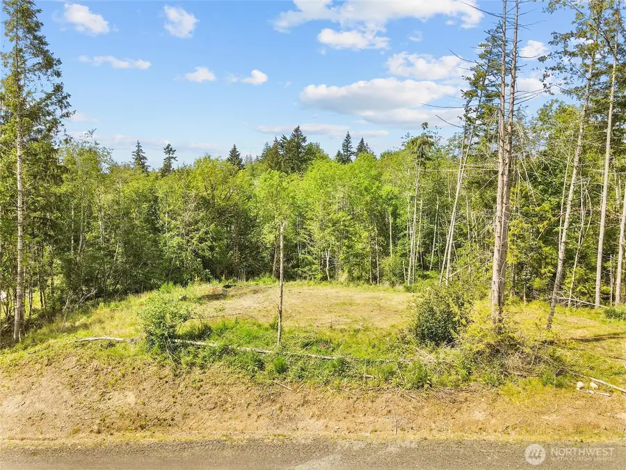 120 E Cascara Cove Lane, Shelton, WA 98584 - #2