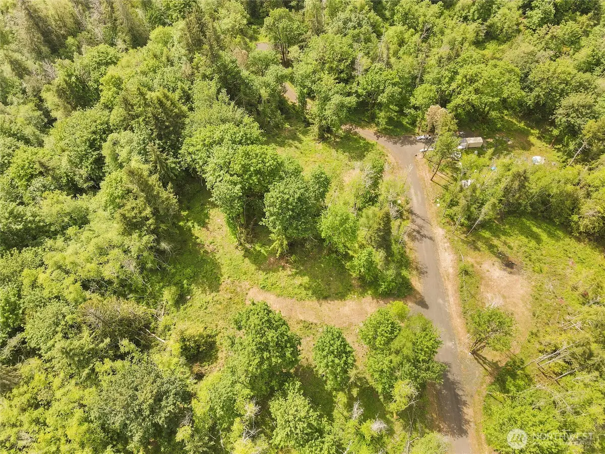 131 E Cascara Cove Lane, Shelton, WA 98584 - #1