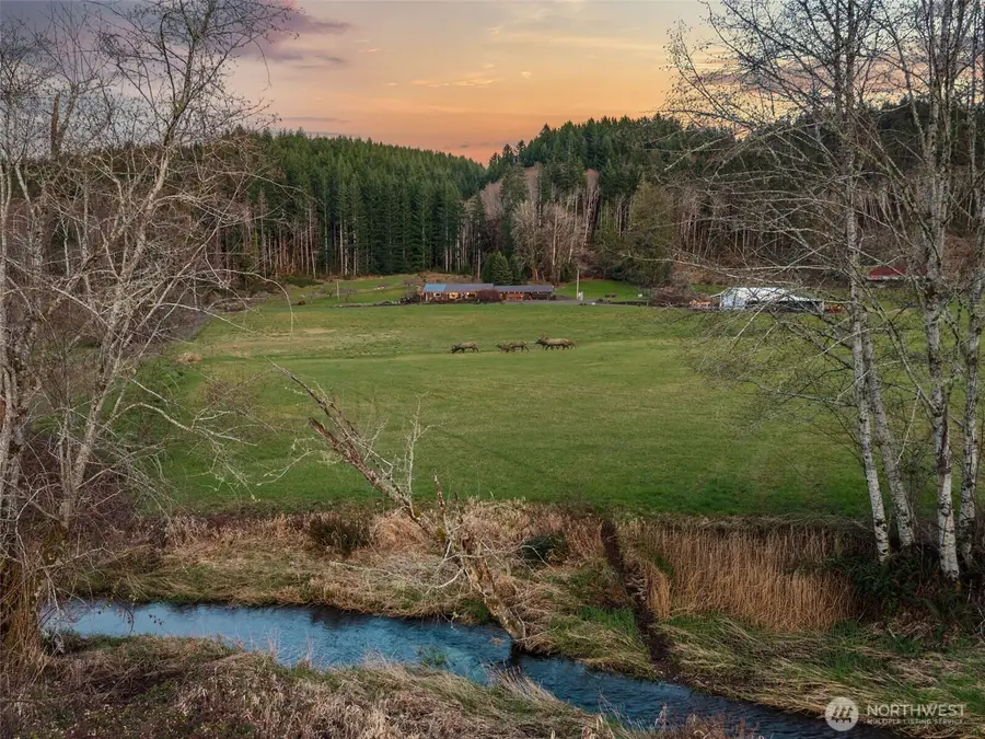 65 Wilderness Road, Oakville, WA 98568 - #2