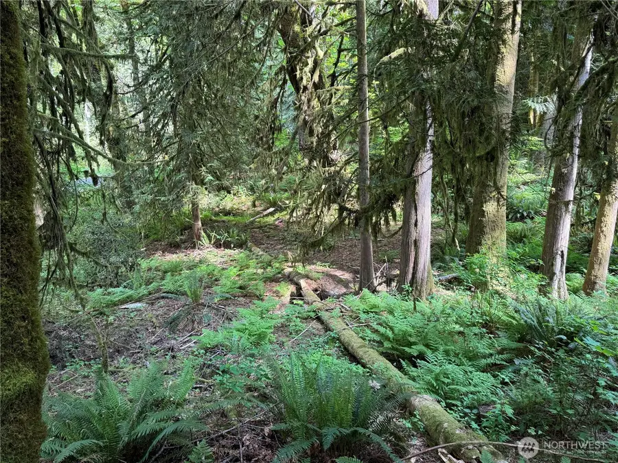 1111 Mountain Trail Road #7, Brinnon, WA 98320 - #2