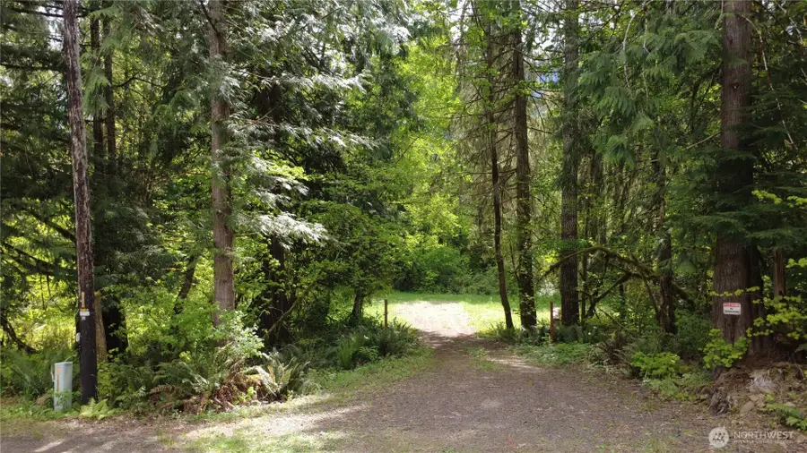3263 Duckabush Road, Brinnon, WA 98320 - #2