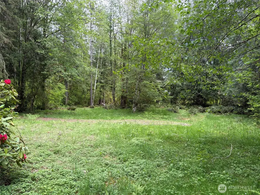 3263 Duckabush Road, Brinnon, WA 98320 - #3