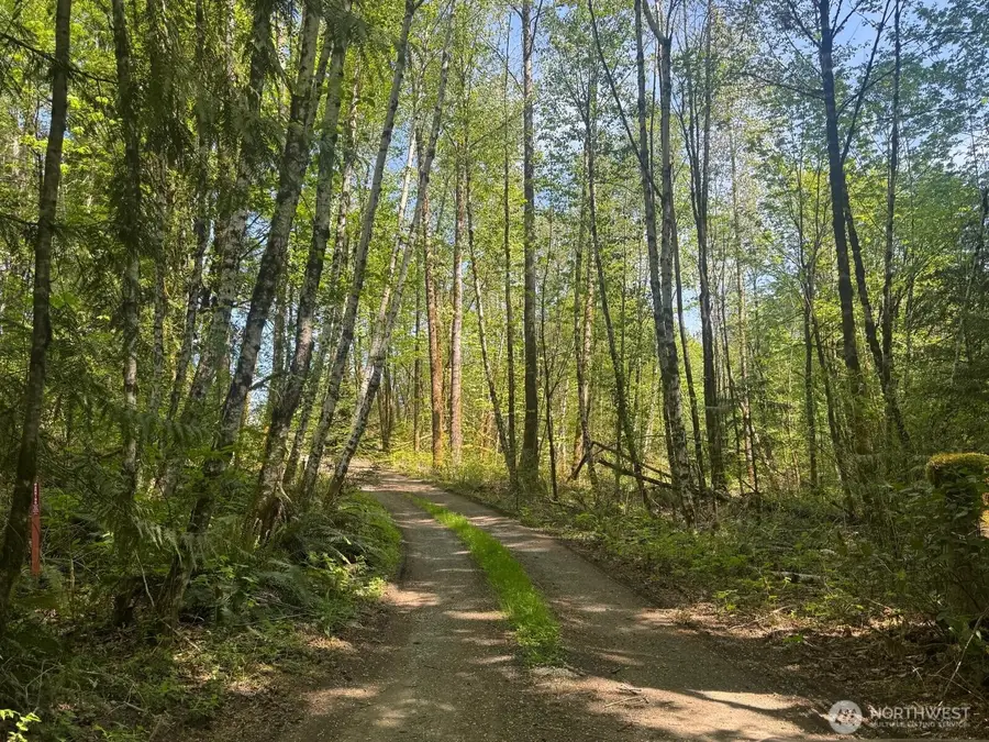 151 W Clark Rd, Shelton, WA 98584 - #2