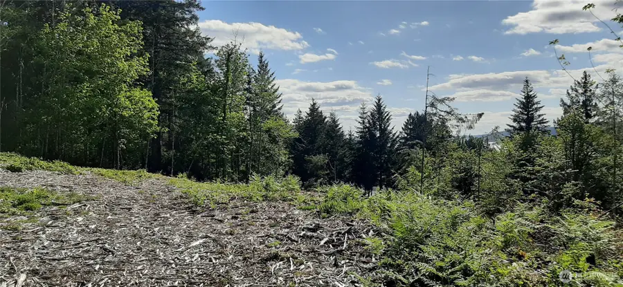 200 NE Wj Way #00940, Belfair, WA 98528 - #2
