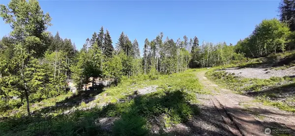 261 NE Wj Way #00900, Belfair, WA 98528