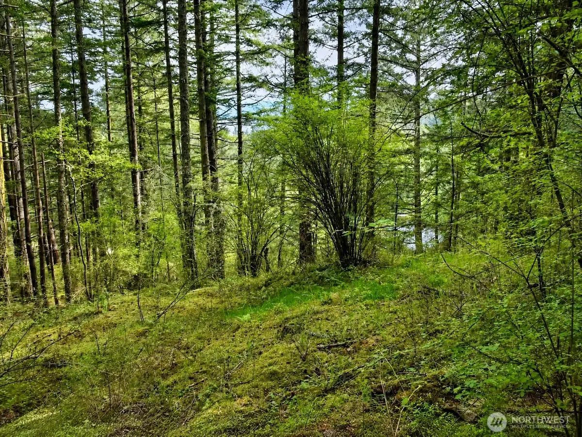 0 Garden Lane #PR LT 11 & PR LT 10 LT 11, Olga, WA 98279 - #1