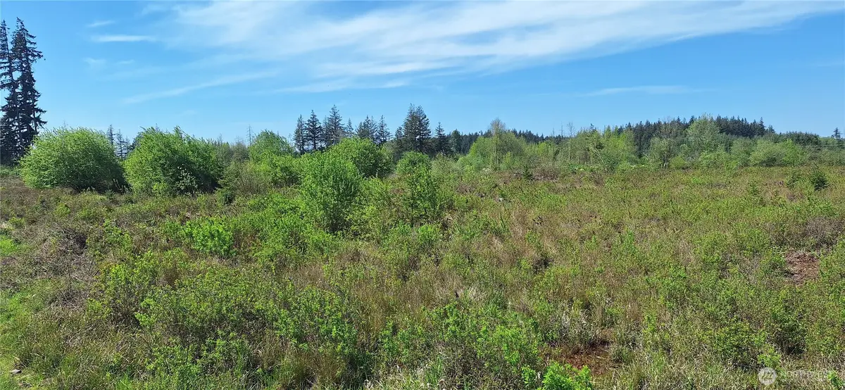 123 Meier Road, Winlock, WA 98596 - #1