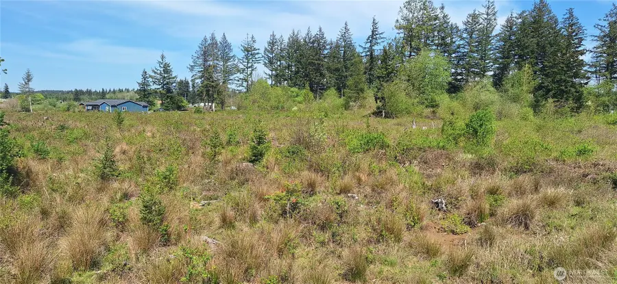 123 Meier Road, Winlock, WA 98596 - #2