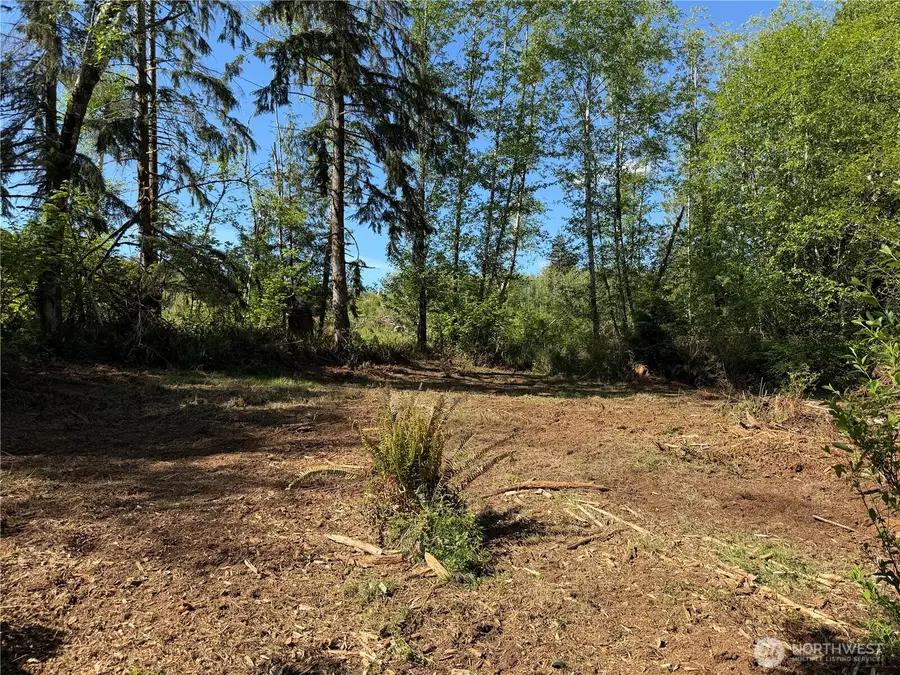 1170 W Gallagher Road, Shelton, WA 98584 - #3