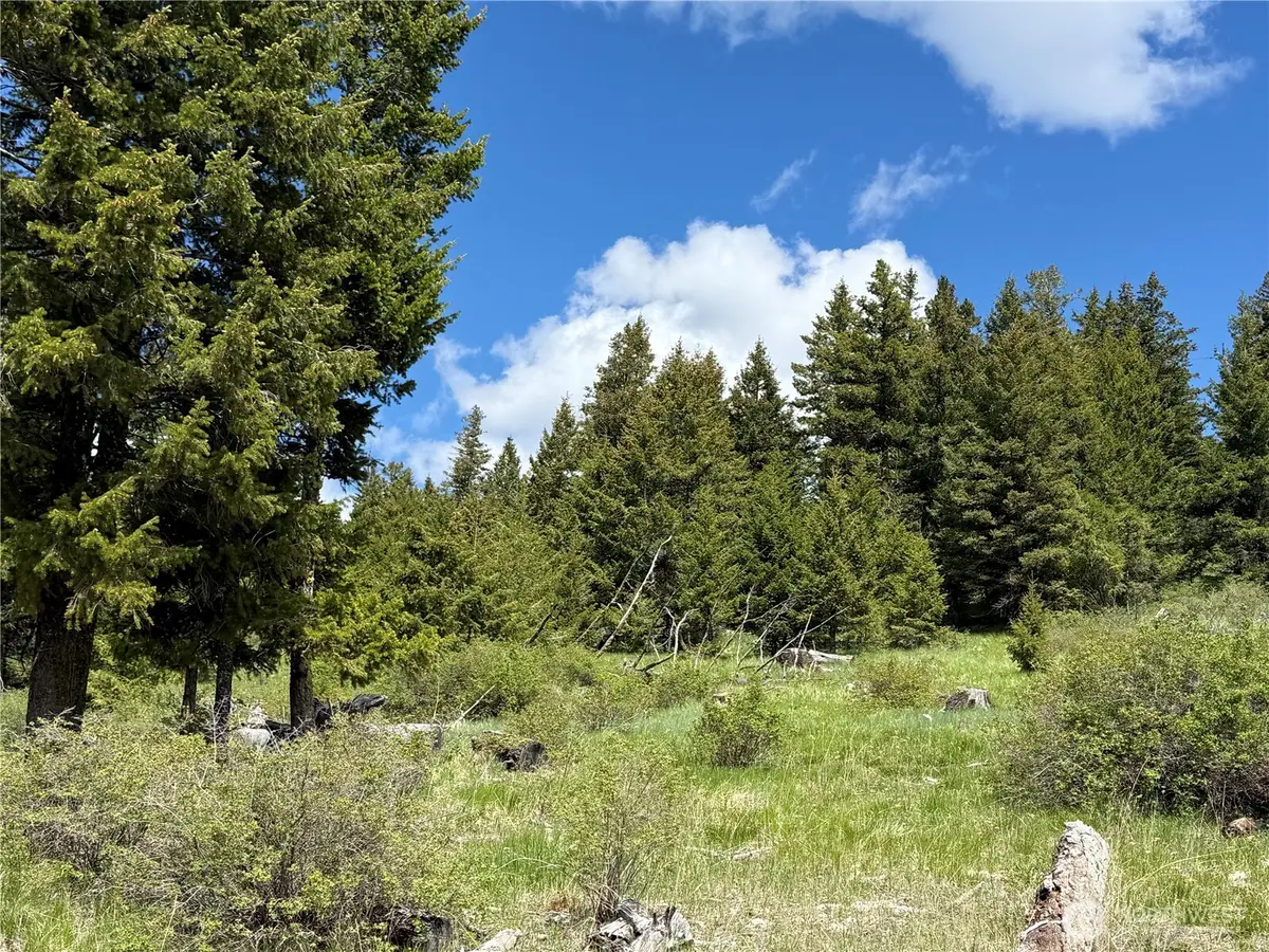 0 Toroda Creek Road, Wauconda, WA 98859 - #1