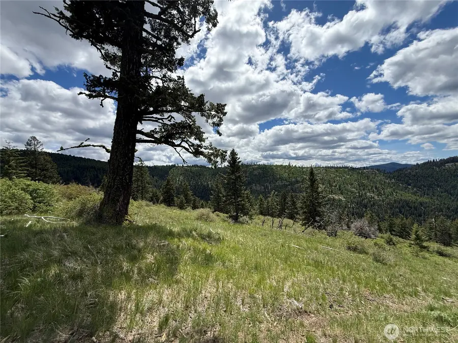 0 Toroda Creek Road, Wauconda, WA 98859 - #3
