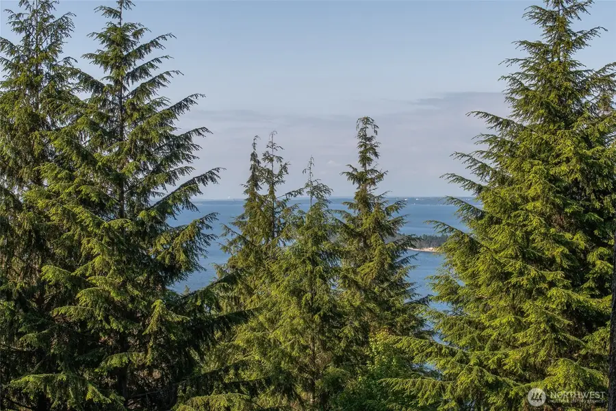41 Raven Lane #41, Olga, WA 98279 - #3