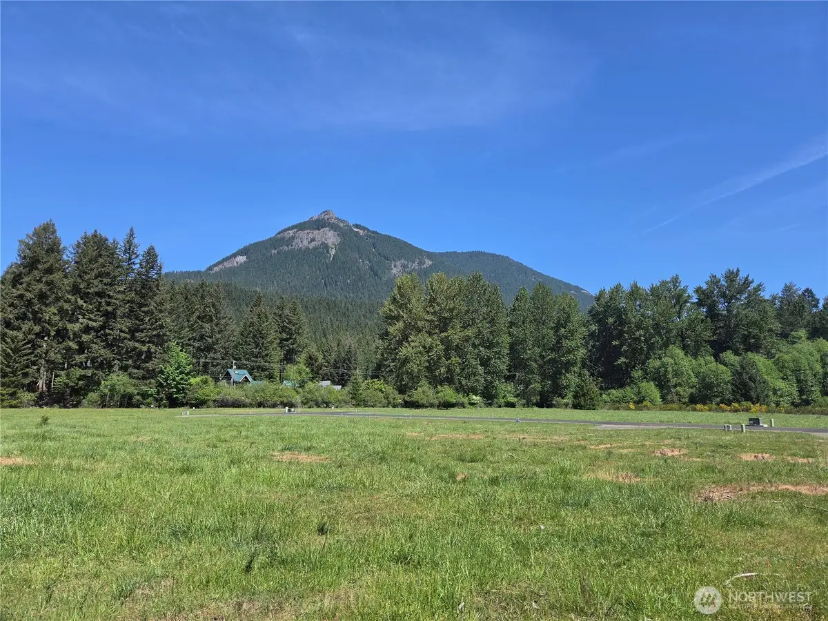 123 Campfire Lane #8, Packwood, WA 98361 - #1