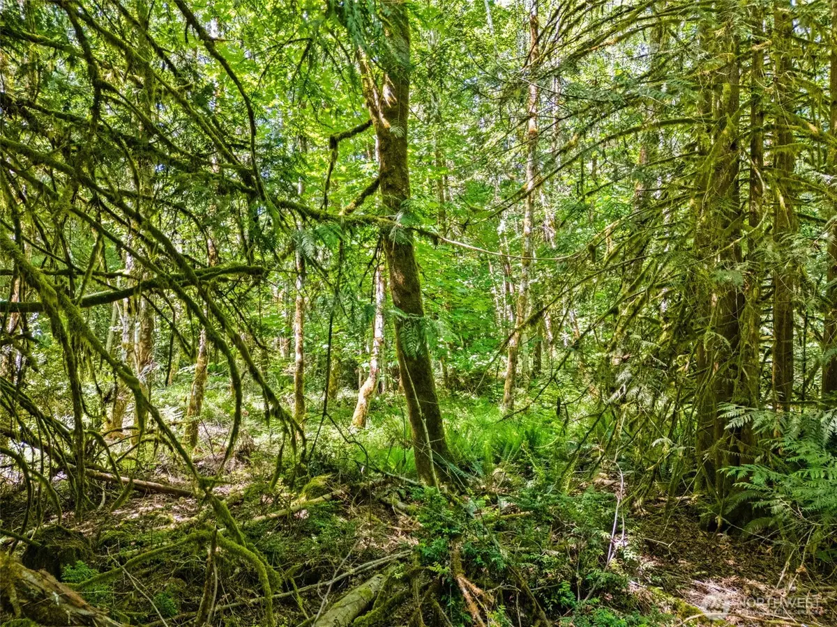 0 E Jared Road, Shelton, WA 98584 - #1