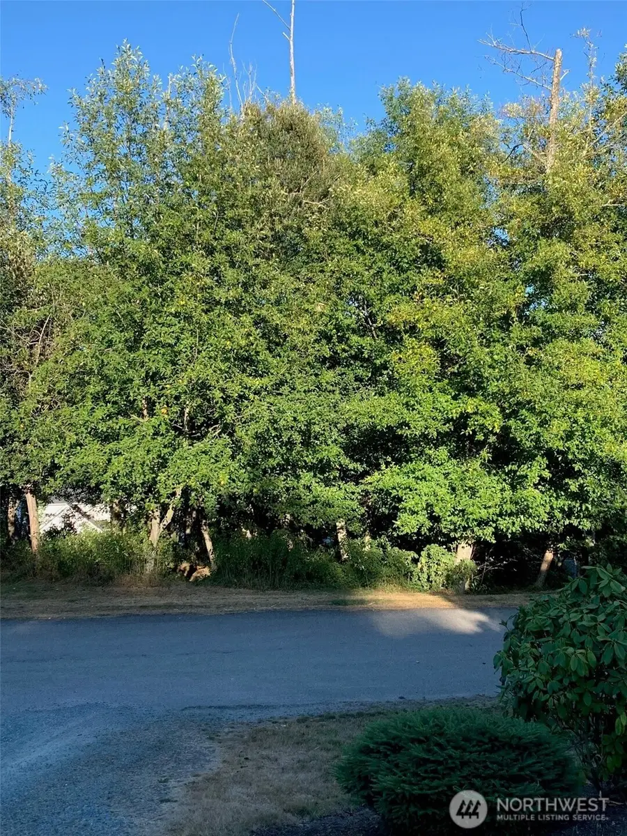0 Brittany #14 Division 9, Freeland, WA 98249 - #3