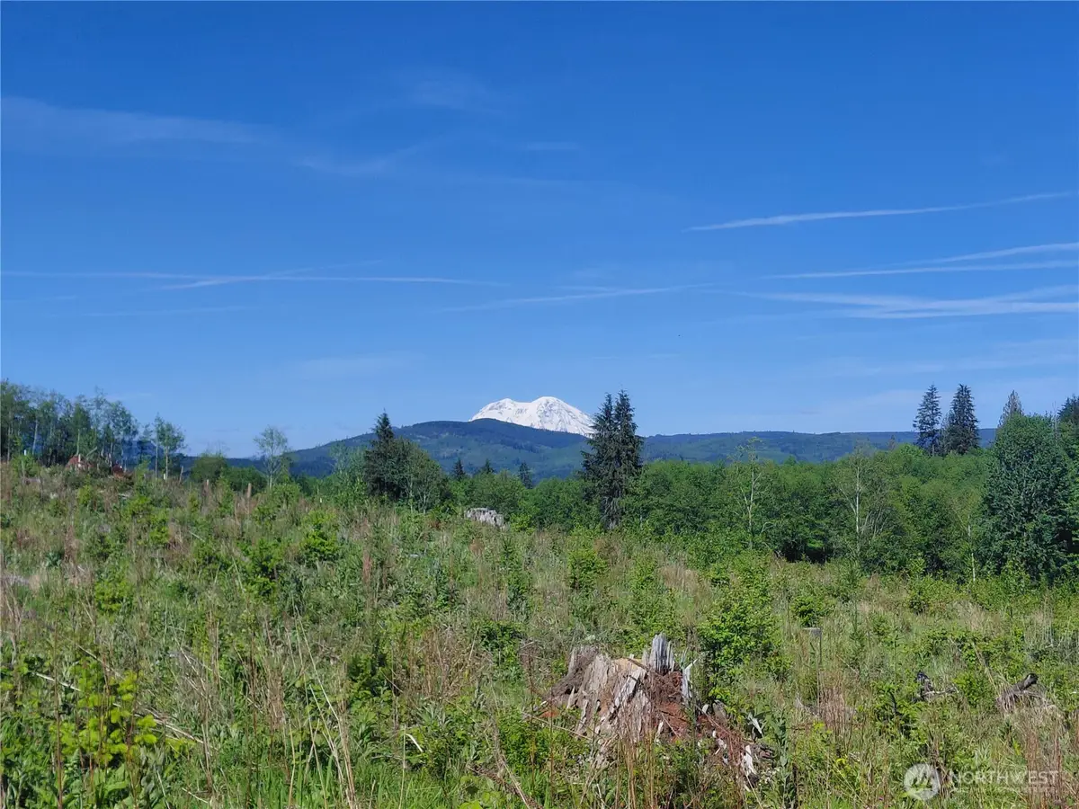 195 Hagen Road #2, Mossyrock, WA 98564 - #1