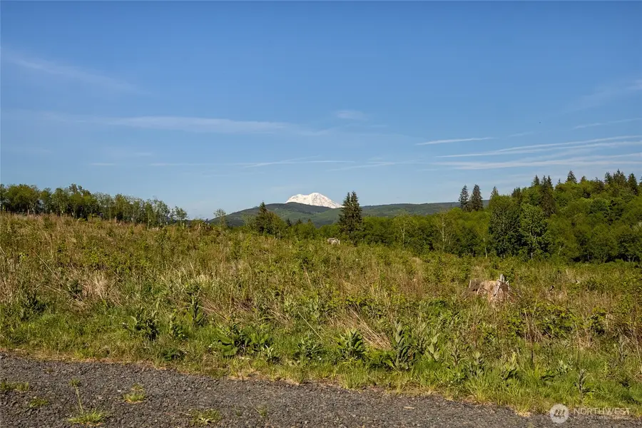 195 Hagen Road #2, Mossyrock, WA 98564 - #2