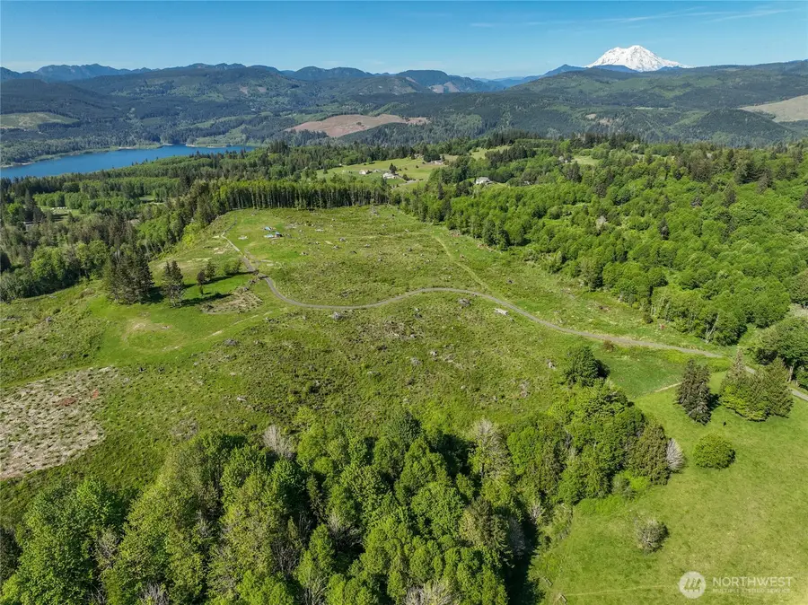 195 Hagen Road #2, Mossyrock, WA 98564 - #3