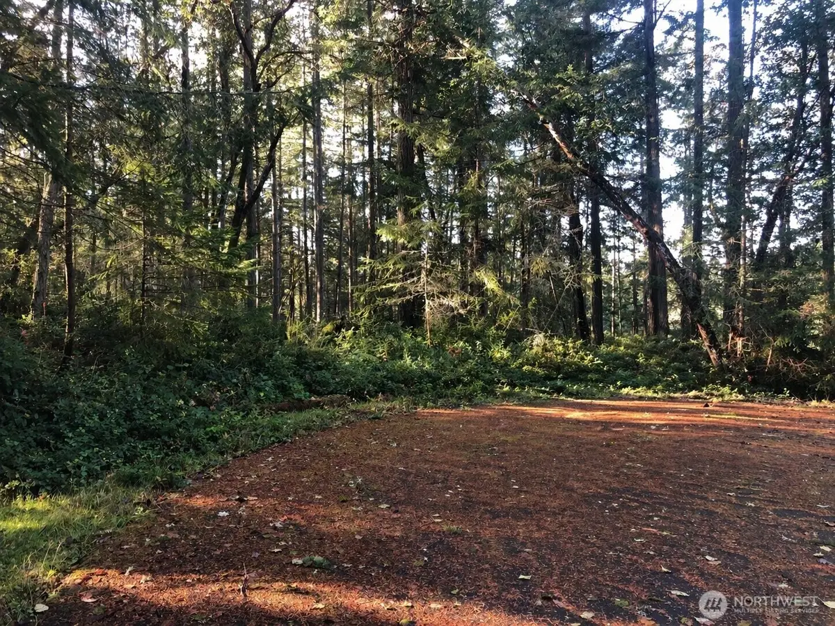 9501 116th Avenue Ct, Anderson Island, WA 98303 - #1