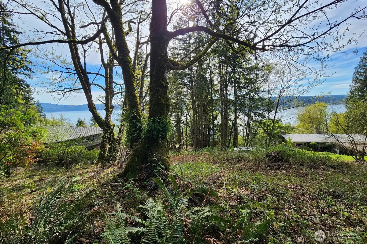 0 E Lake Sammamish Parkway Ne, Sammamish, WA 98074 - #1