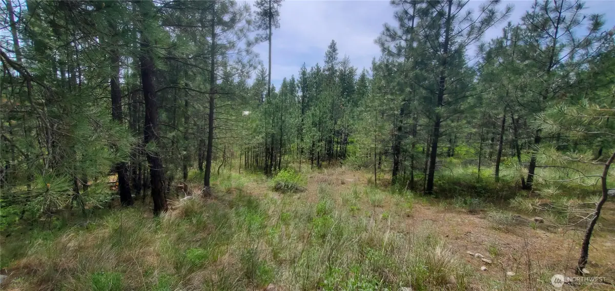6 Okanogan River Ranches Div 1 #1, Tonasket, WA 98855 - #1