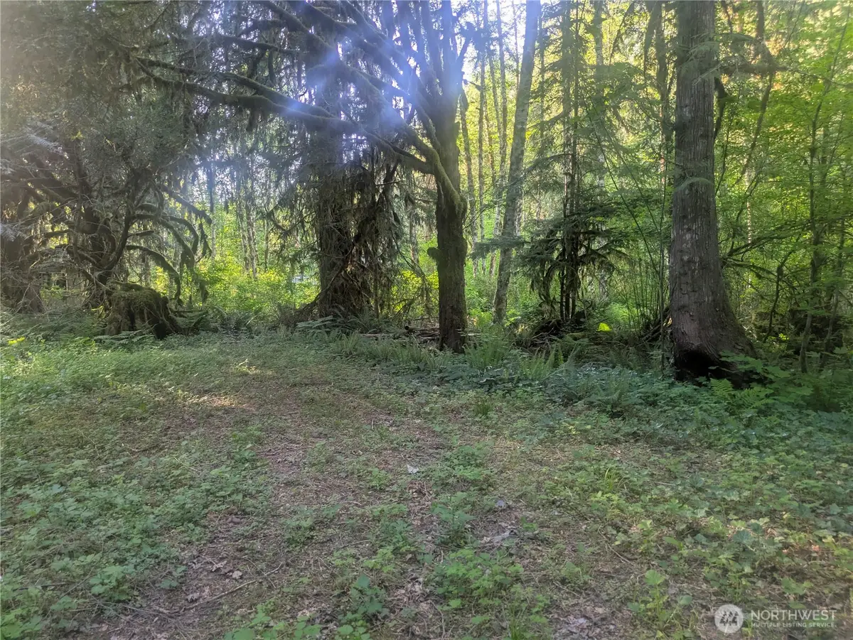 63323 W Cascade Way #19, Marblemount, WA 98267 - #1
