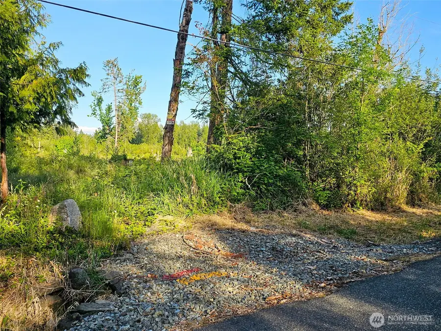 25867 150th Avenue E, Graham, WA 98338 - #3