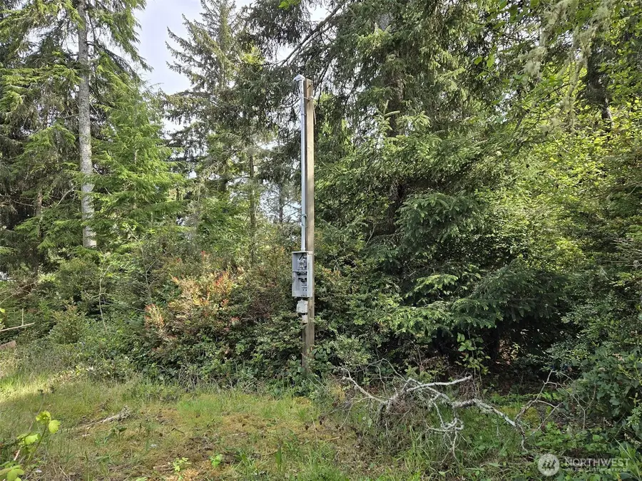 27312 W Street, Ocean Park, WA 98640 - #3