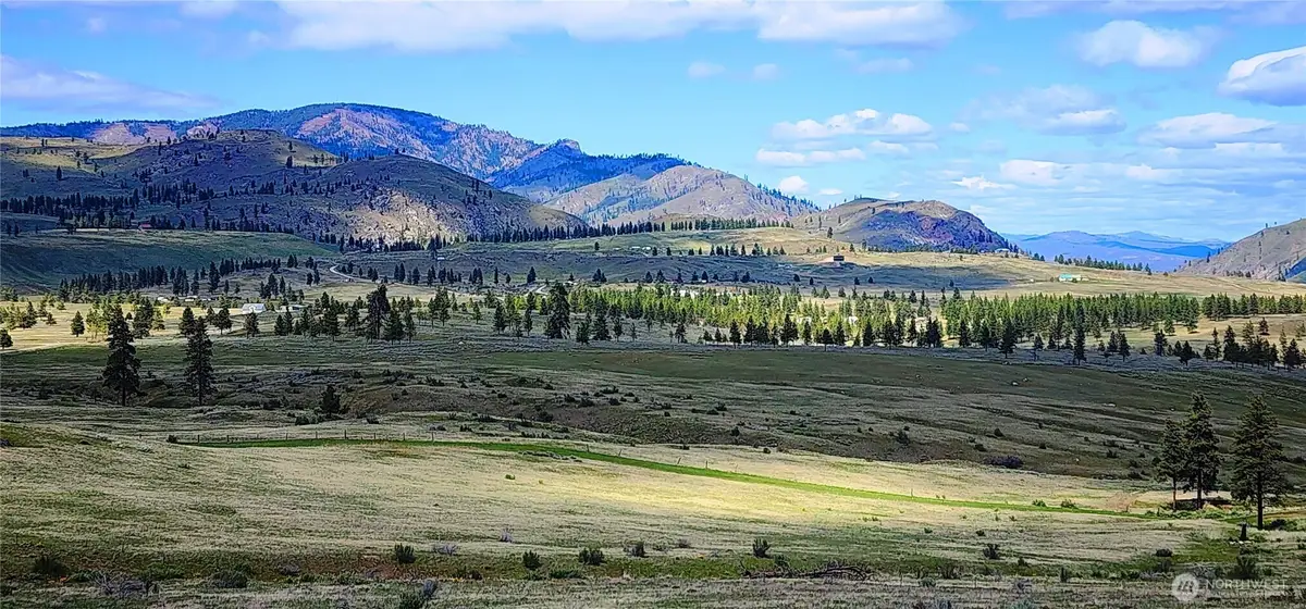 1 Washington Creek Road, Chelan, WA 98816 - #1