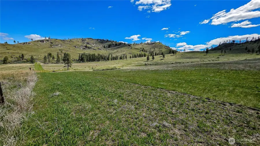 1 Washington Creek Road, Chelan, WA 98816 - #2
