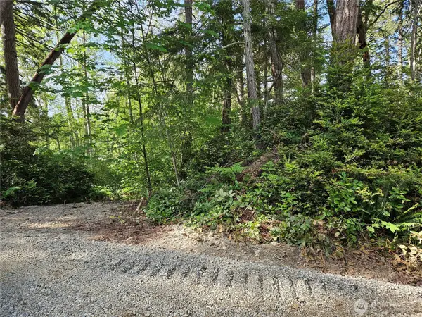 0 Fox Road #124, Quilcene, WA 98376