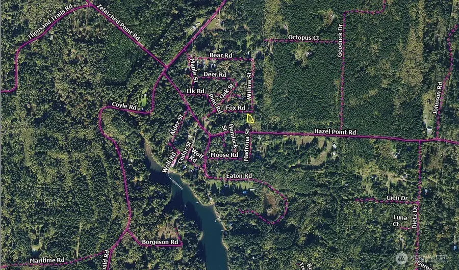 0 Fox Road #124, Quilcene, WA 98376 - #2