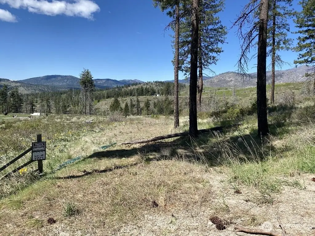 123 Buzzard Lake Road, Okanogan, WA 98840 - #1